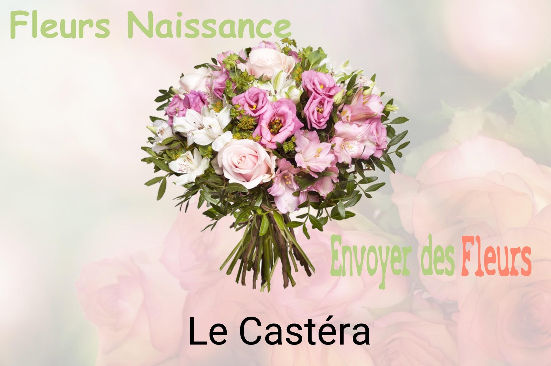 Bouquet de fleurs de naissance livré à Le Castéra